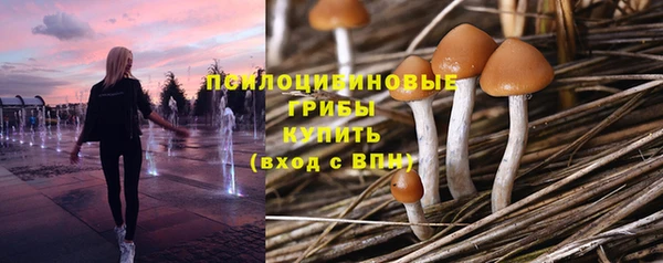 прущие крисы Баксан
