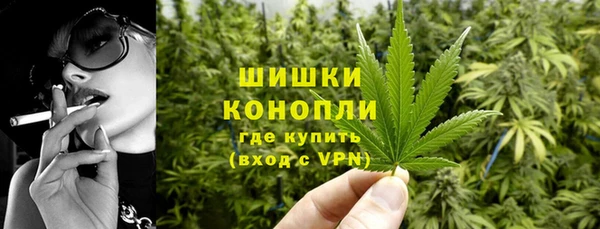 ГАЛЛЮЦИНОГЕННЫЕ ГРИБЫ Арсеньев