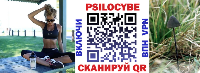 Псилоцибиновые грибы Psilocybe  Купить закладки  Первоуральск 